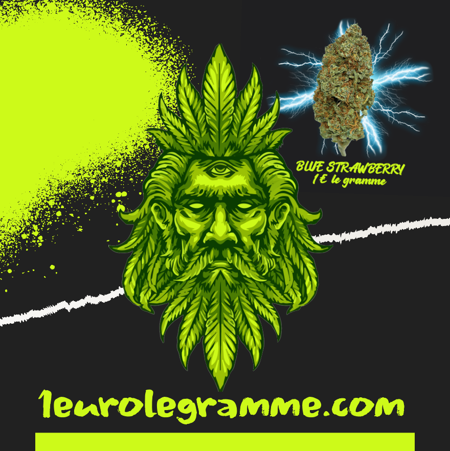 Où Acheter le CBD le Moins Cher ?