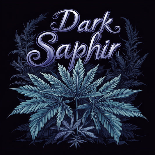 Dark-Saphir-CBD---1eurolegramme-1-euro-le-gramme-Fleurs-de-cannabis-CBD-pas-chere---1-euro-le-gramme-HHC---Haschich-HHC-Hash-HHC-Shit-HHC-02