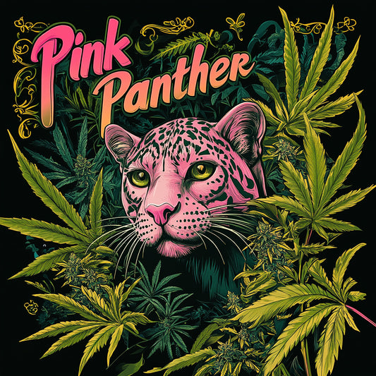 Fleurs-CBD-Pink-Panther---Floral-Flower---1eurolegramme---1-euro-le-gramme---CBDpasCher-CBD-pas-cher