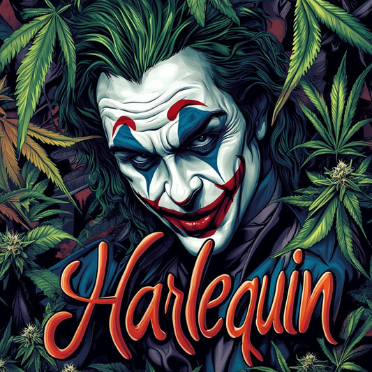 Fleur CBD pas chère - CBD pas cher - HARLEQUIN - 1eurolegramme - 1 euro le gramme