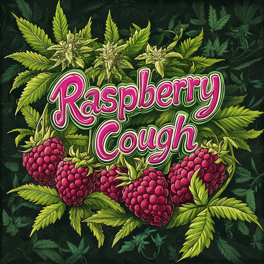 CBD pas cher  - Raspberry Cough CBD Raspberry-Cough---Raspberry-Weed---Fleurs-de-cannabis-CBD-pas-chere---1-euro-le-gramme-CBD---CBD-BUBBLEGUM-02 1€/g