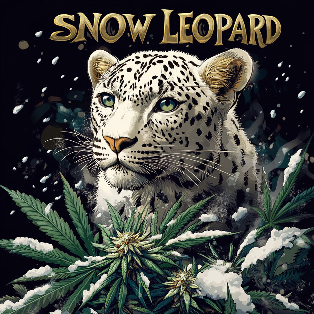 Snow-Leopard-CBD---1eurolegramme-1-euro-le-gramme-Fleurs-de-cannabis-CBD-pas-chere---1-euro-le-gramme