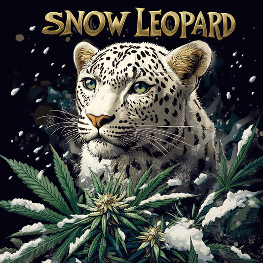 Snow-Leopard-CBD---1eurolegramme-1-euro-le-gramme-Fleurs-de-cannabis-CBD-pas-chere---1-euro-le-gramme
