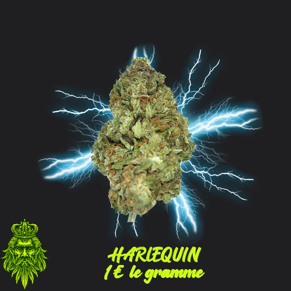 Fleur CBD pas chère - CBD pas cher - HARLEQUIN - 1eurolegramme - 1 euro le gramme