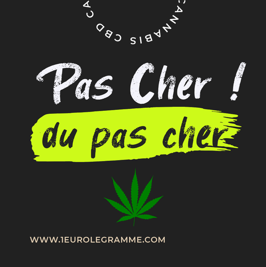 Découverte Révolutionnaire : Les Effets Psychoactifs du THCP Étudiés