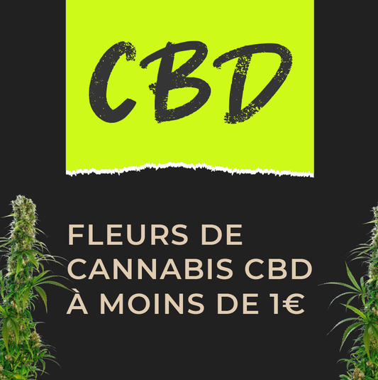 La France interdit le HHC, un cannabinoïde de synthèse vendu en CBD shop - 1eurolegramme - HHC promo - 1 euro le gramme