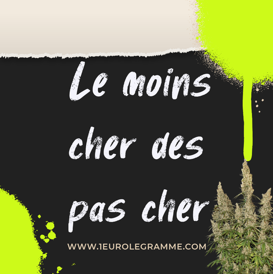 Découvrez où Trouver les Meilleures Offres sur le CBD et le Hash en Ligne