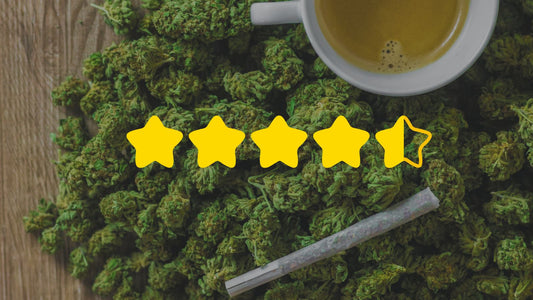 Avis sur le CBD pas cher 