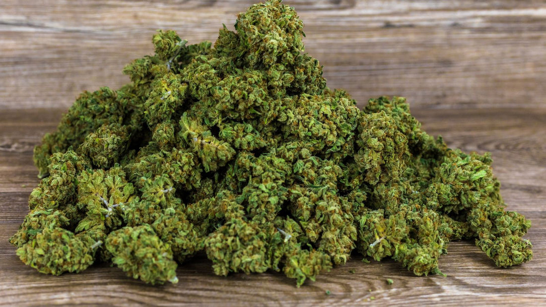 10g de CBD