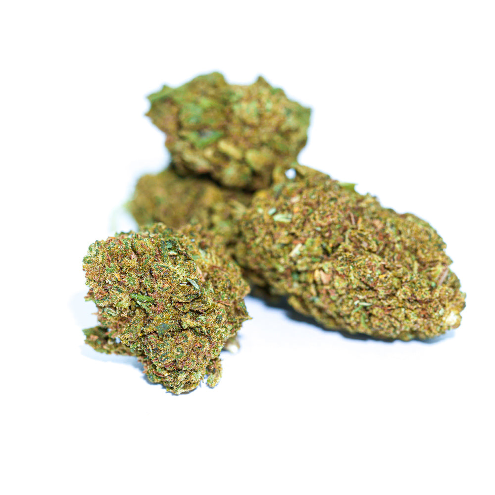 CBD pas cher  - Raspberry Cough CBD Raspberry-Cough---Raspberry-Weed---Fleurs-de-cannabis-CBD-pas-chere---1-euro-le-gramme-CBD---CBD-BUBBLEGUM-02 1€/g 
